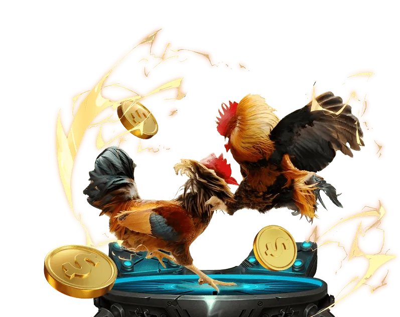 Khuyến mãi đá gà hấp dẫn tại 8kbet VN